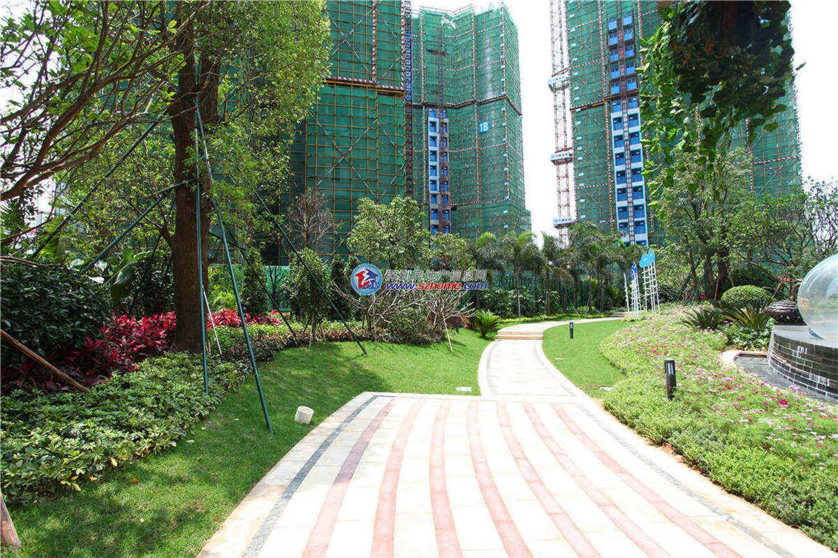 深圳楼盘实景图 - 商置网
