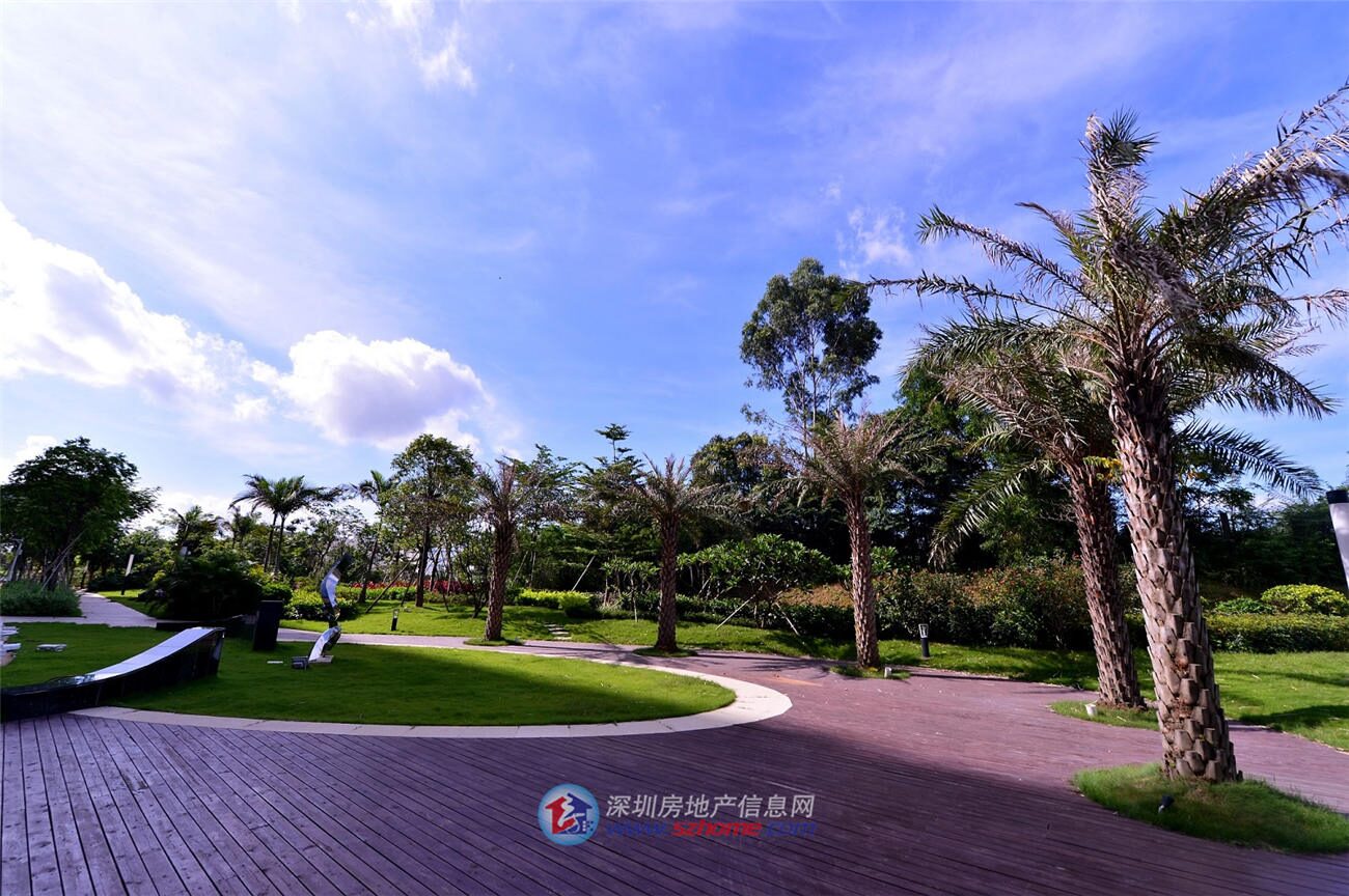 深圳楼盘实景图 - 商置网