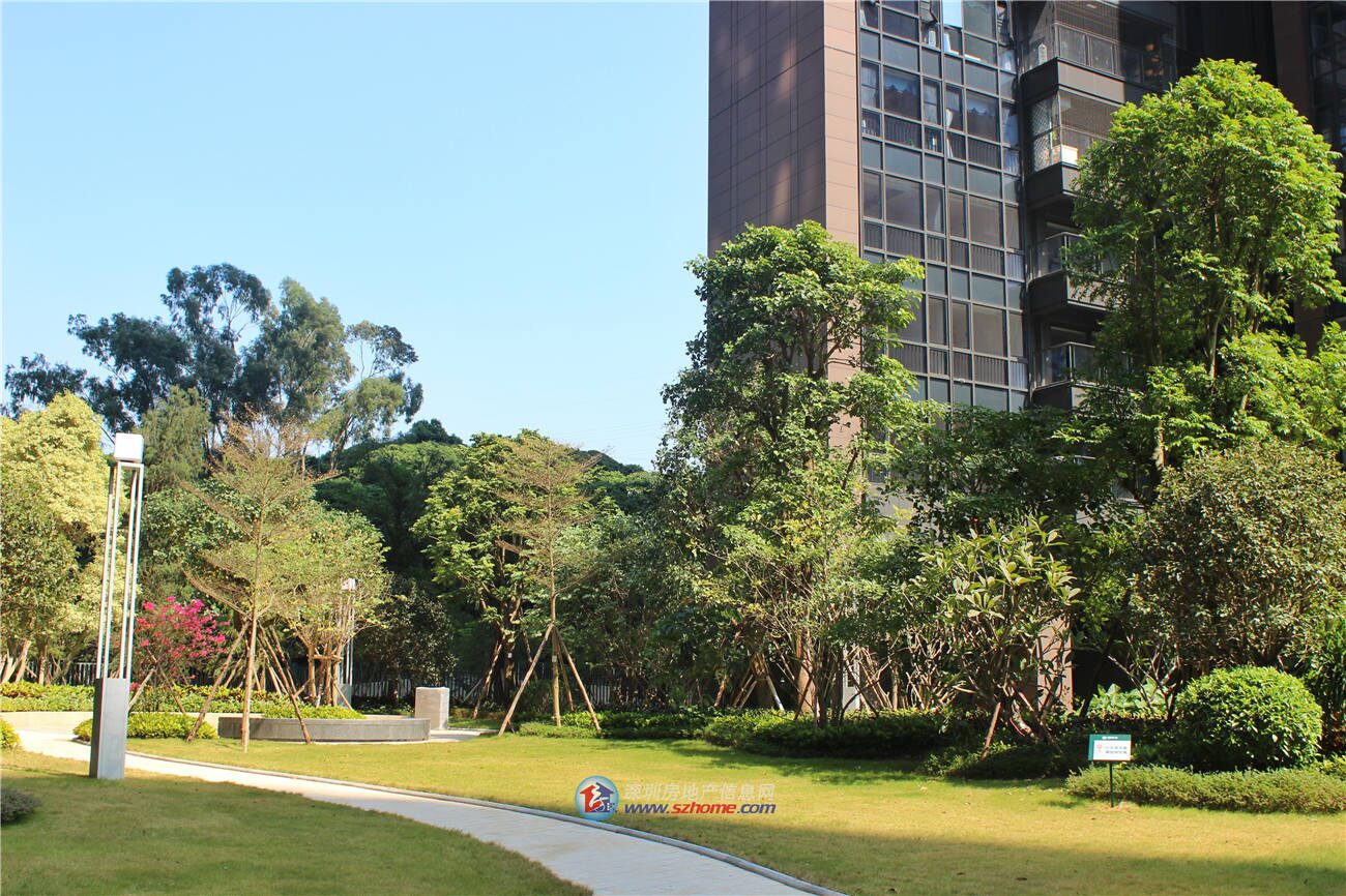 深圳楼盘实景图 - 商置网