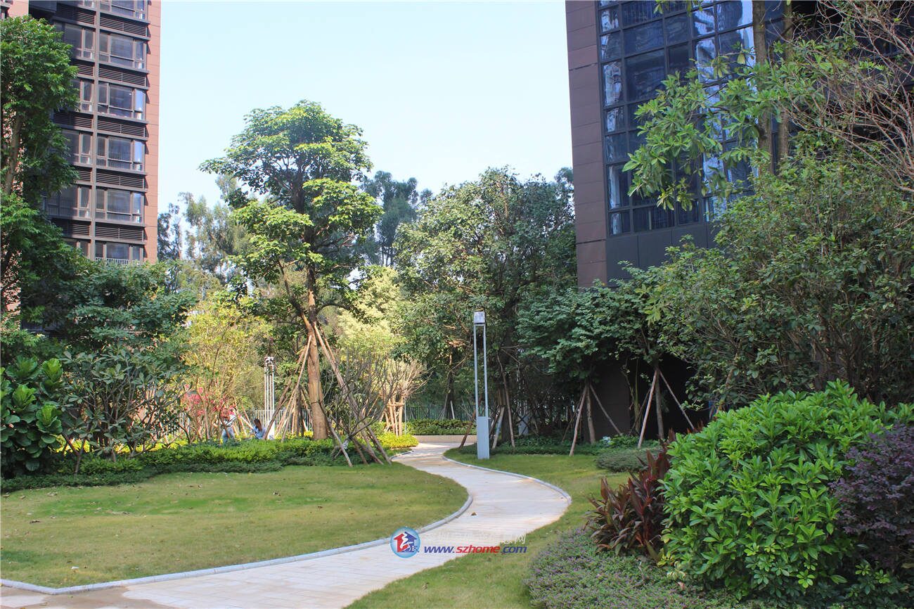 深圳楼盘实景图 - 商置网