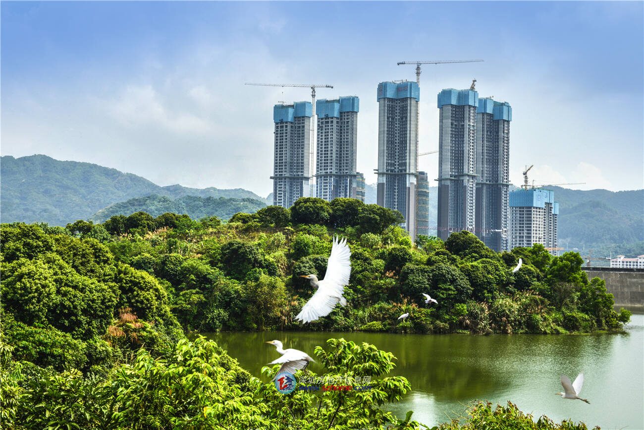 深圳楼盘实景图 - 商置网