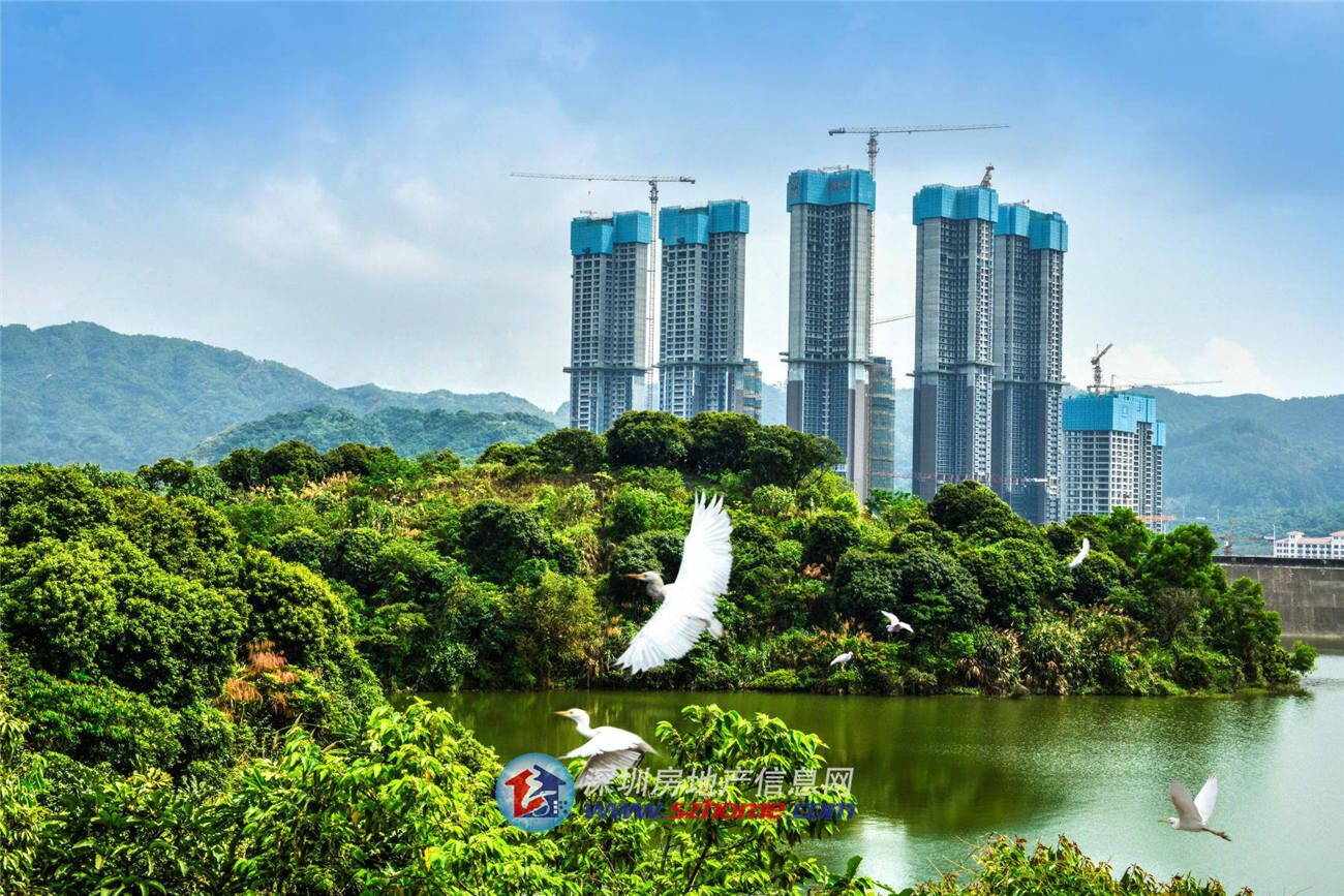深圳楼盘实景图 - 商置网