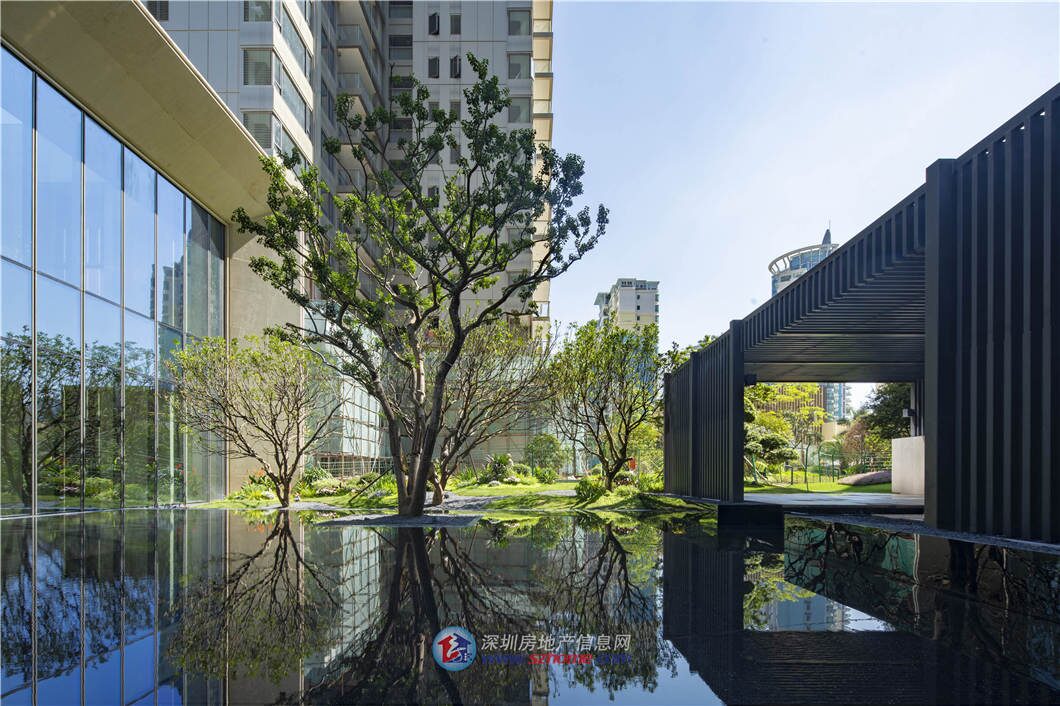 深圳楼盘实景图 - 商置网