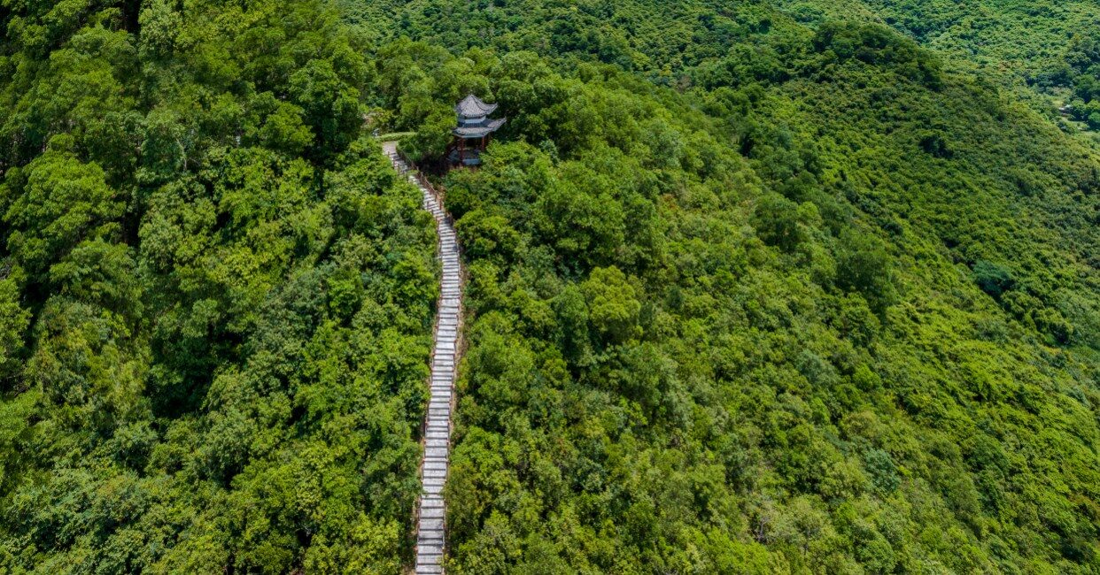 深圳楼盘实景图 - 商置网