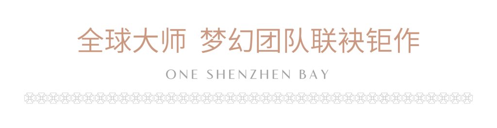 深圳湾1号开发商最后三套房源(图5)