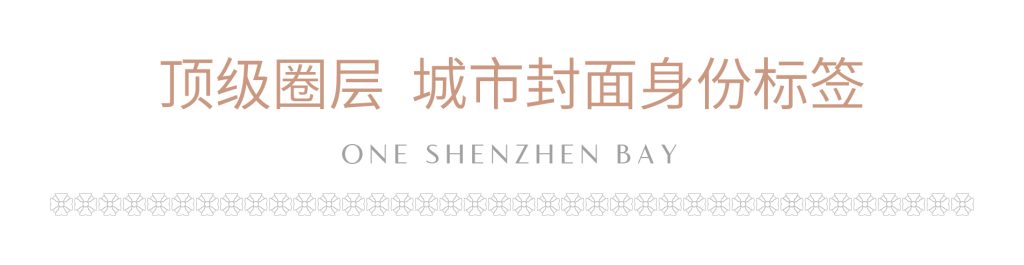 深圳湾1号开发商最后三套房源(图9)