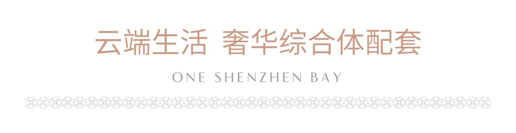 深圳湾1号开发商最后三套房源(图12)