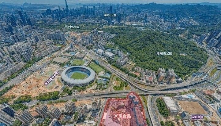 岁宝壹品户型图（深圳福田）岁宝壹品价格-最新优惠折扣-学校(图24)