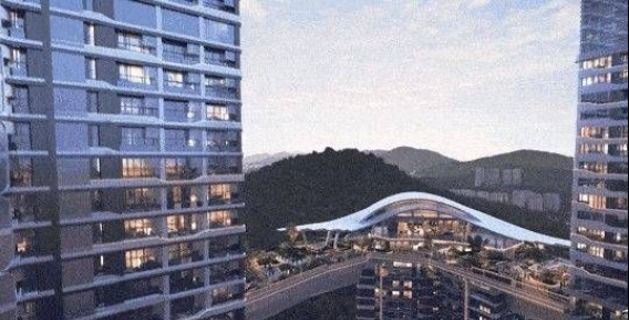 岁宝壹品户型图（深圳福田）岁宝壹品价格-最新优惠折扣-学校(图25)