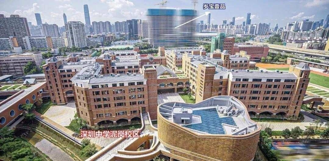 岁宝壹品户型图（深圳福田）岁宝壹品价格-最新优惠折扣-学校(图34)